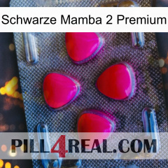 Black Mamba 2 Premium 13